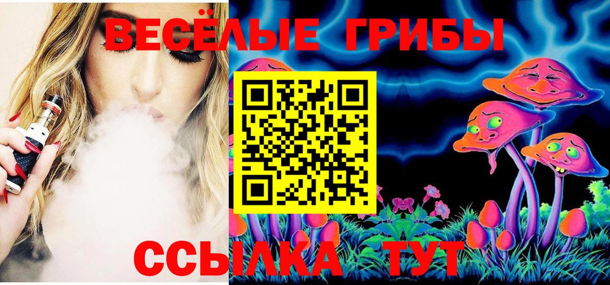 Карачаевск  Псилоцибиновые грибы ЛСД  Вход с VPN 