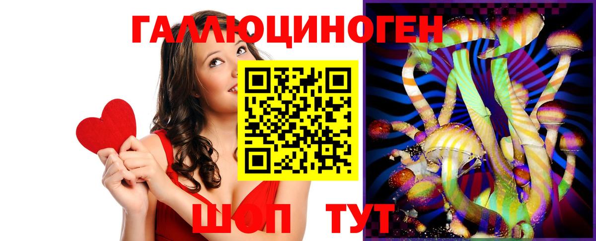 Псилоцибиновые грибы Psilocybe Карачаевск