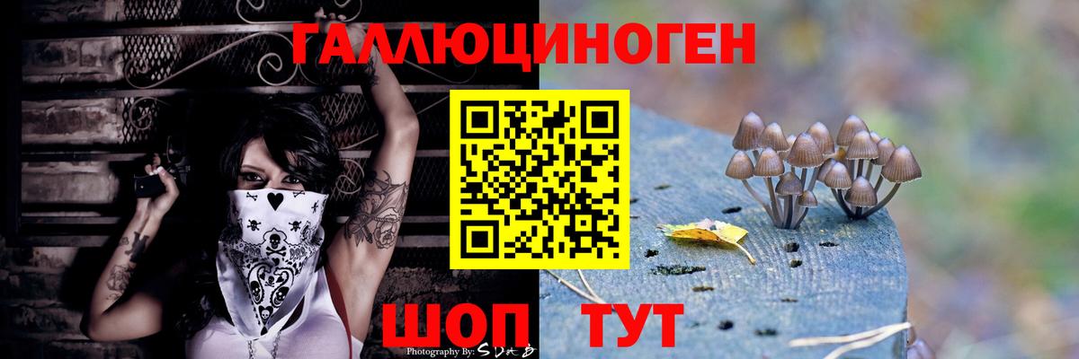 Галлюциногенные грибы прущие грибы Карачаевск